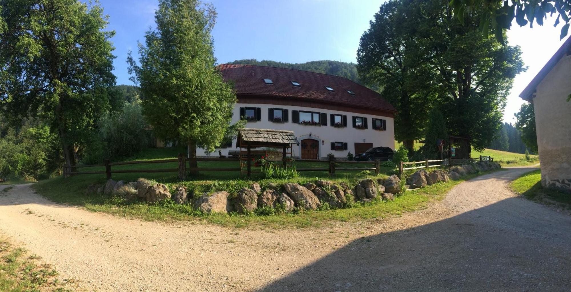 Villa Turisticna Kmetija Toman Gornji Grad Exterior foto