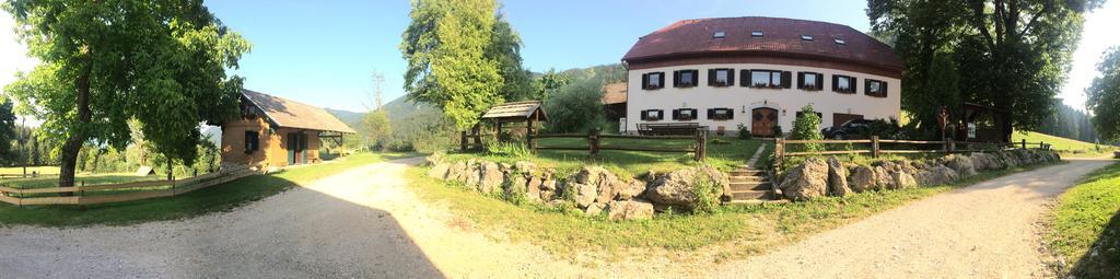 Villa Turisticna Kmetija Toman Gornji Grad Exterior foto